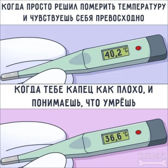 Веселые картинки в маленькую пятницу (13.05)