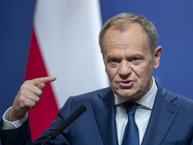 Туск призвал польскую делегацию не обещать Украине финансовой поддержки