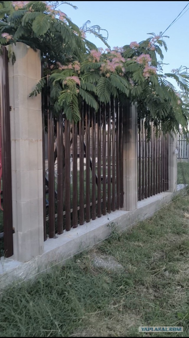 Из чего сделать фасадный забор, требуется помощь
