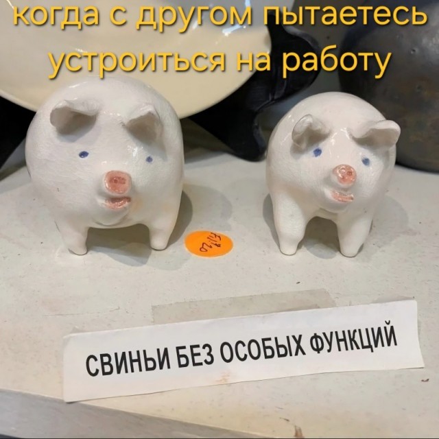 Картинки для деградации 291 (разной степени свежести)