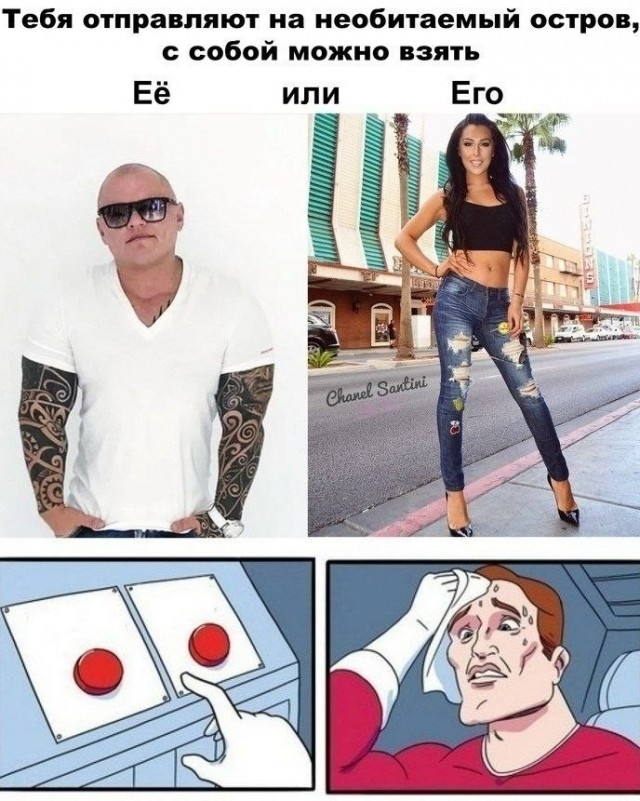 Веселые картинки в пятницу (23.10)