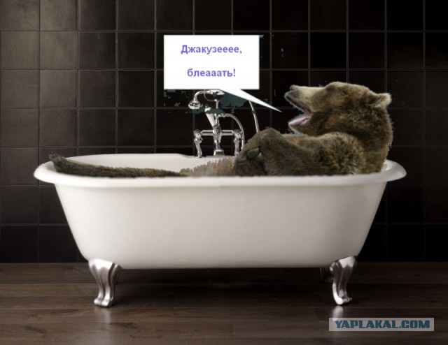 Новый мидвет!