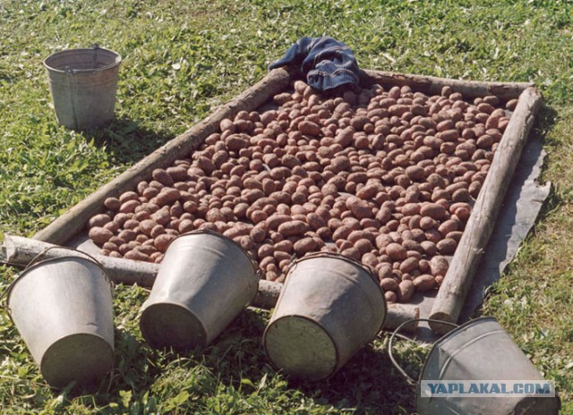 Плюсомет со шпалометом