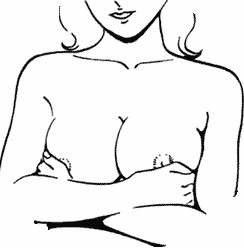Тема сисек или как Рисовать женскую грудь.