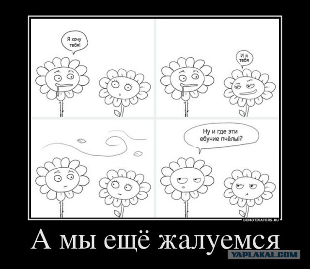 Демотиваторы