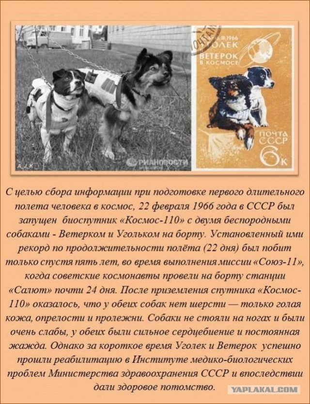 20 фактов обо всем