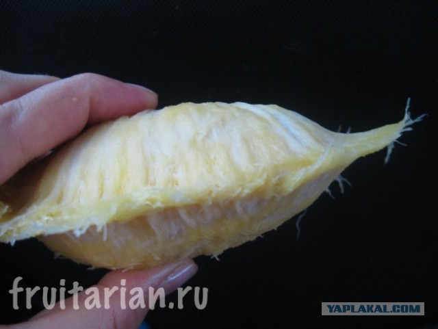 Дорогая, нарежь мне борща!