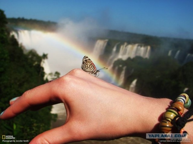 Лучшие фотографии от National Geographic за ноябрь