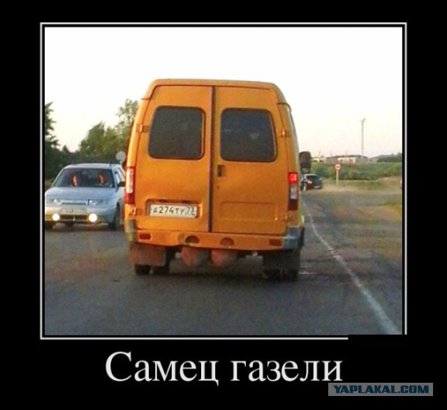 Подборка демотиваторов