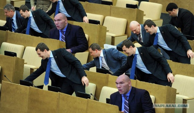 Кнопкодавы