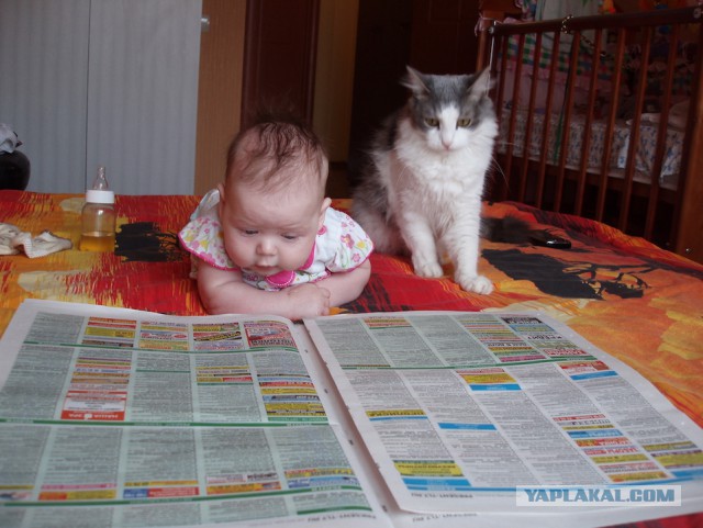 "Залюблю... залюблю!"