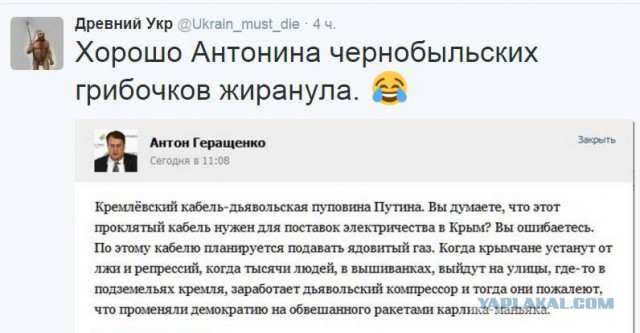 Электроэнергию в Крым восстановят