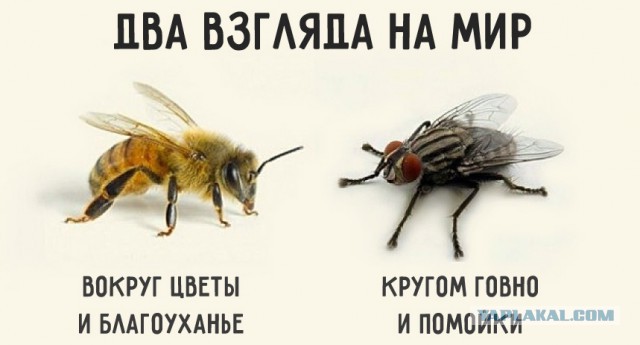 Отношения русских и американцев