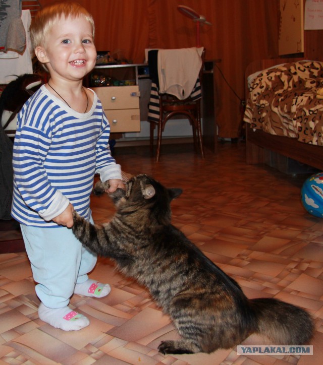 Бизнес и ничего другого