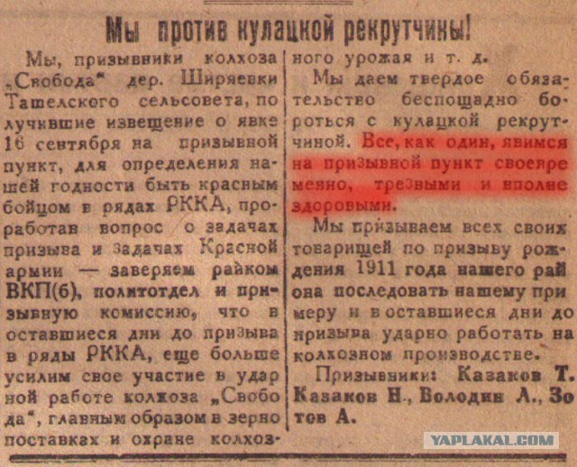 Подборка картинок из сети