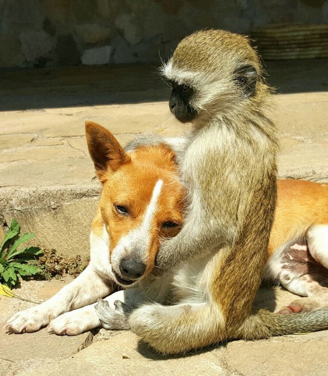 Подборка интересных и веселых картинок