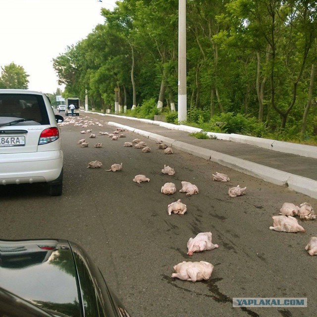 Эпические провалы