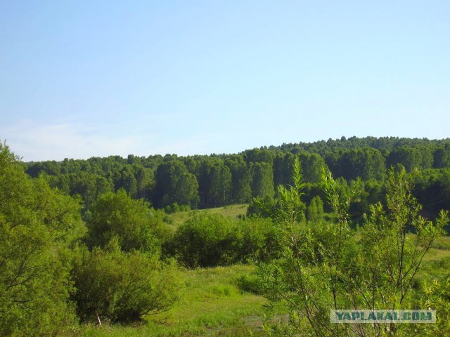 Мой родной сибирский поселок