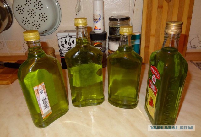 Школьница из Шымкента вывела формулу для лечения рака