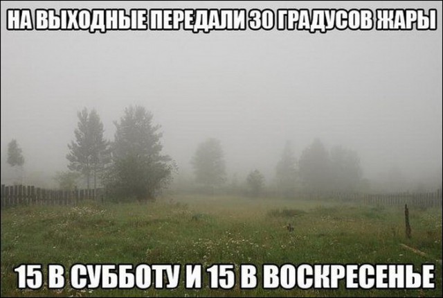 Смешные и не очень картинки из этих ваших интернетов