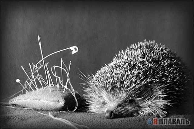 Фентели от Stanislav Jagelo