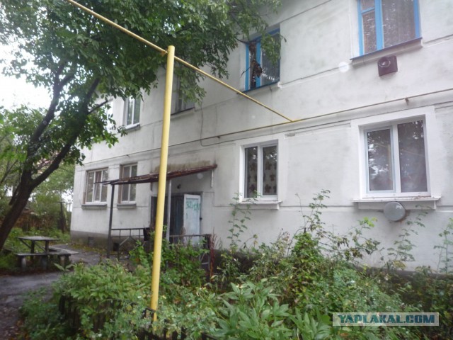 Воспоминания о домайданной Украине