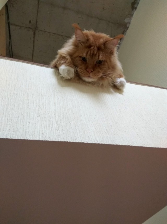 Подборка интересных и веселых картинок