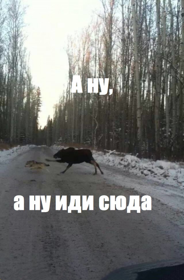 Просто фото. Просто подборка