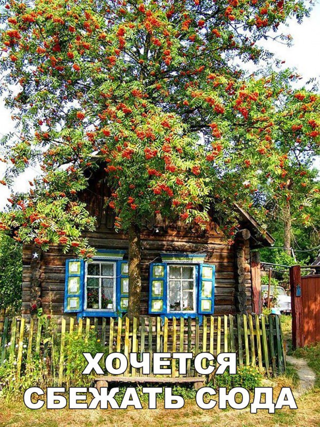 Прикольные картинки обо всём