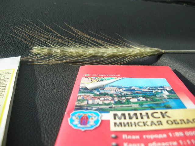 Белорусские просторы