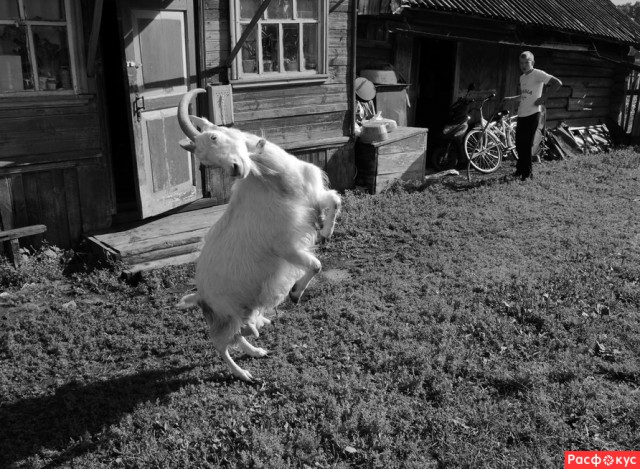 Фотографии русской деревни, которые вызывают ностальгию