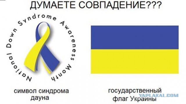 Украинский прокурор предложил создать спецгруппу для захвата Януковича в РФ