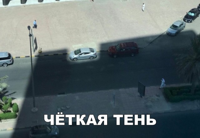 Прикольные картинки абавсём