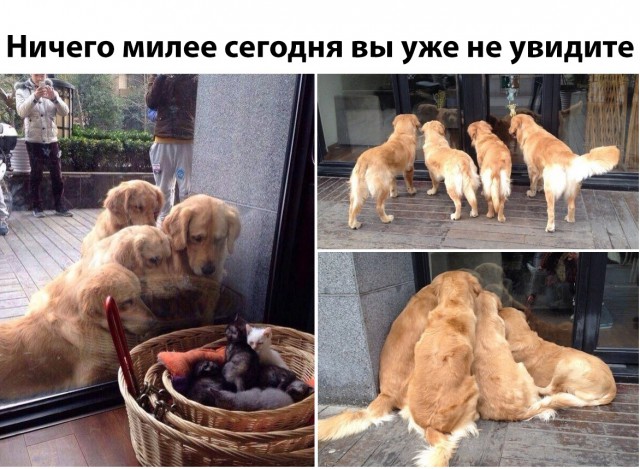 Нестандартный юмор