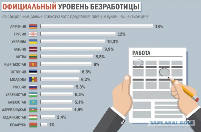 Сдай соседа: власти развешивают листовки с просьбой сообщать о самозанятых людях