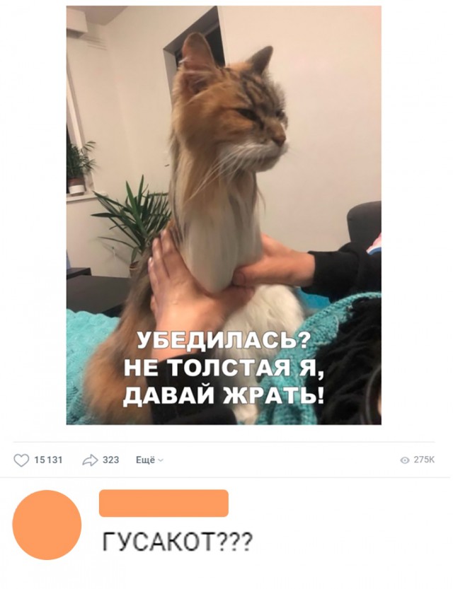 Нестандартный юмор