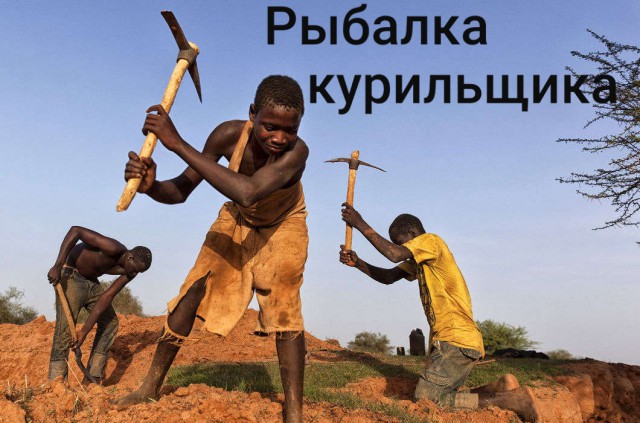 Рыба, которая спит в земле