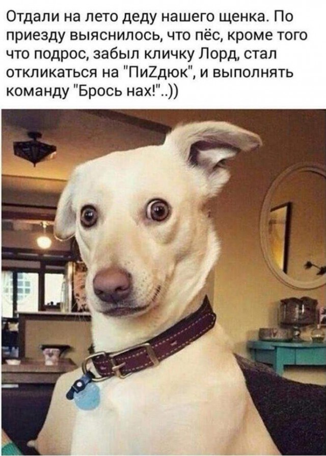 Подборка интересных и веселых картинок 05.07.19