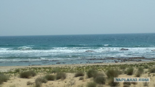 Культ моря