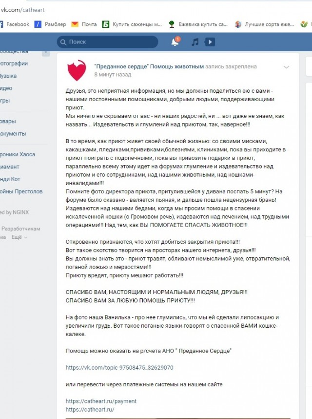 Помогите вернуть кота! Приют "Преданное сердце" украл кота и не отдает!-2