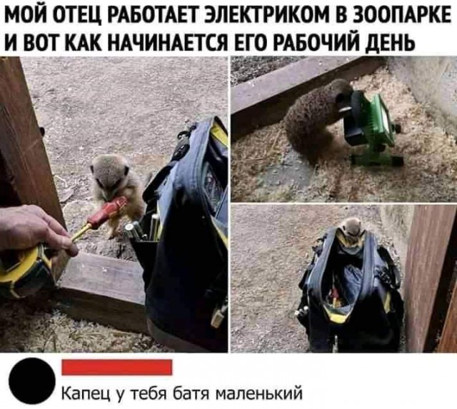 Разнокартинок псто 21.12.19