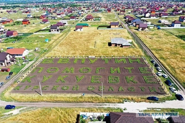 Селяне из Кукуевки написали Путину послание из картошки, которую посадили на пустующих участках