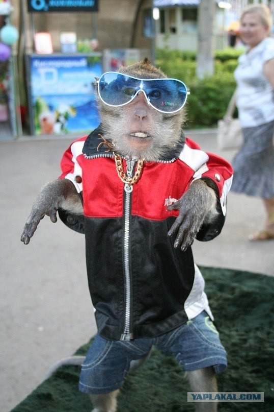 пацаны ваще ребята