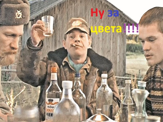 Лёгкая разминка между поглощениями салатов