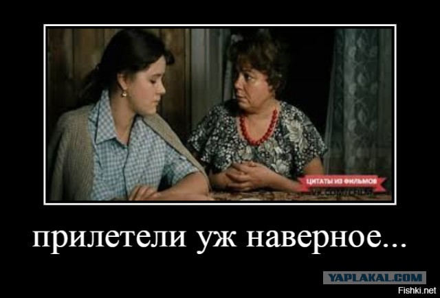 Стрим возвращения Навального из Берлина во Внуково