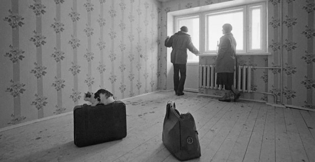 100 фотографий из XX века, часть 3