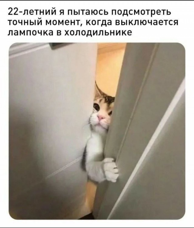 Теперь только этот корм