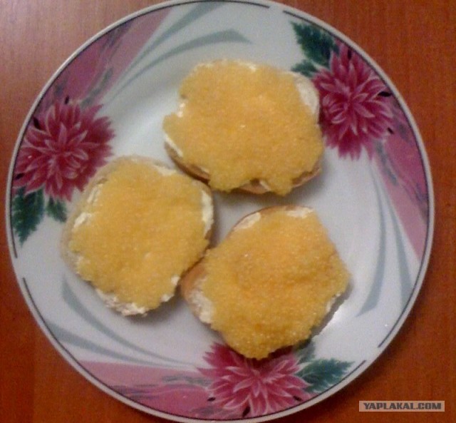 Пятничные посиделки на теплотрассе (с)