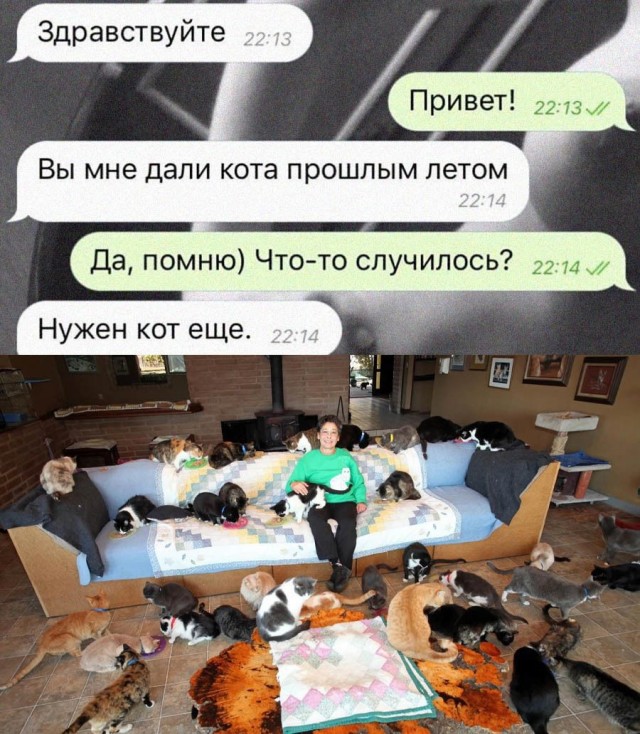 Так себе картинки 22.07.21
