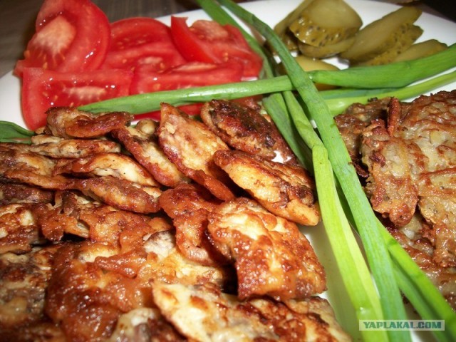 Куриная кардиология